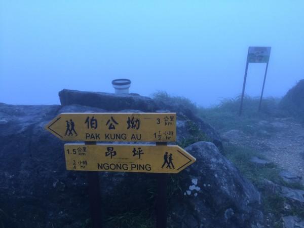 深入了解橙子英语怎么说?,汲取知识享受乐趣
