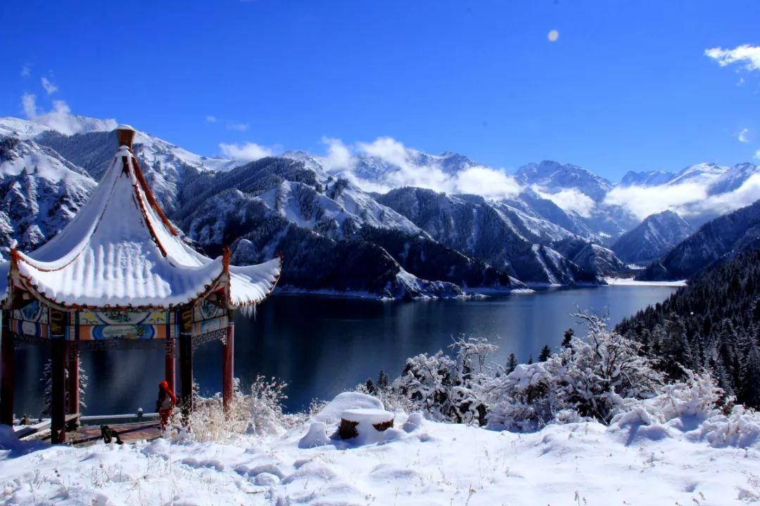 今天我们学习巧记松鼠英文怎么读音，小朋友们快来看看吧